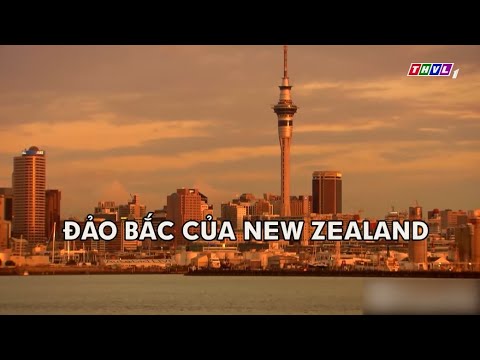 Video: 15 Điều Hàng đầu Nên Làm ở Đảo Bắc của New Zealand