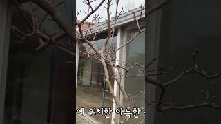 가성비 갑! 싸도 너무 싸다! #시골살이로망 #시골집사기 #시골집매매