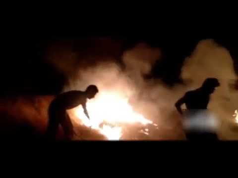 بهبهان آتش سوزي گسترده در منطقه حفاظت شده خائيز ۱۶خرداد۹۸