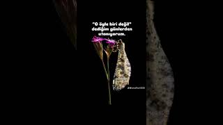 Üçükemrah Ördeles Ürkiye