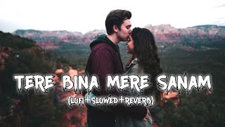 Tere Bina Mere Sanam {Lofi Slowed Reverb} | Mera Jeena Mumkin Nhi Hai | Horror Ravan| Full Song