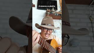 a mosca e a abelha #pagodedeviola #sertanejo #musica #somodao #violacaipiranaveia #caipira