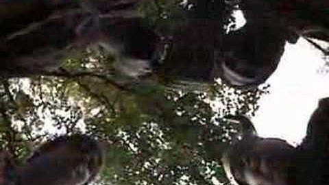 THIS IS ANCHOR SPLASH!