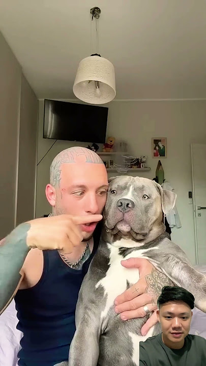 Dogie bites his finger⁉️