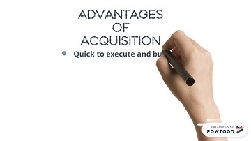 wholly owned subsidiary