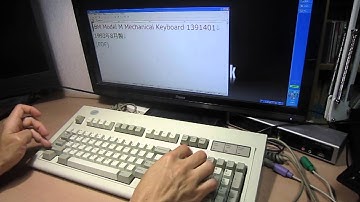 IBM Model M Mechanical Keyboard 1391401 (Aug 1993, blue logo)