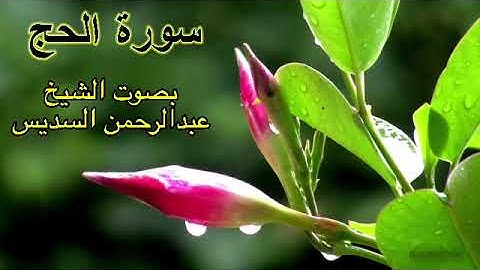 سورة الحج كاملة بدون اعلانات بصوت الشيخ عبدالرحمن السديس