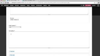 160. How to create a custom formatter with the Custom Formatters module (a Drupal how-to)