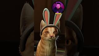 Cute Billi Game 😊 | 😨 ORDER 13! 😨 | Hitesh KS