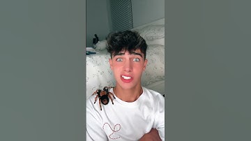 Could you? 🕷 #kylethomas #shorts