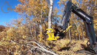 TMK 300 Tree Shear on John Deere 60g clearing pasture. By Swift Fox Industries.