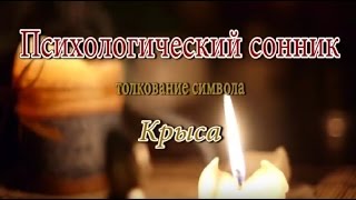 К чему снится Крыса сонник, толкование сна К чему снится Крыса сонник, толкование сна