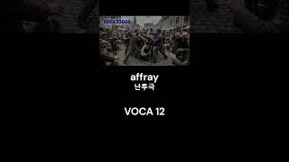 VOCA 12 (affirm, affix, affliction, affluent, afflux, affray, affront, aficionado, afire, afloat)