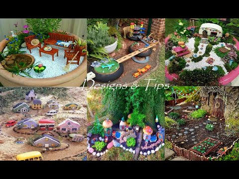 Video: Teacup Fairy Garden Ideas – Suggerimenti per la coltivazione di piante da giardino Teacup