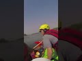 Terrifying Moment: Wild Animal Jumps Into Water to Attack Boat 😱 #animalattack #dangerousanimals