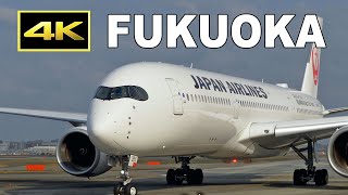 [4K] Plane Spotting at Fukuoka Airport in Japan / 福岡空港 / Fairport