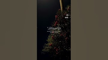 سورة الاحزاب الايه(٣٣)... اكتب شي تؤجر عليه #قرآن #القرآن_الكريم #سورة_الاحزاب