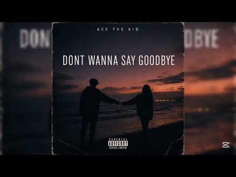 Ace The Kid - DON'T WANNA SAY GOODBYE (Official Audio)