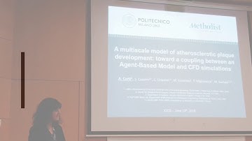 A Multiscale Model of Atherosclerotic Plaque Development