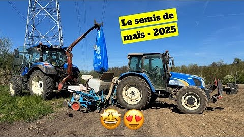 Corn sowing - 2025