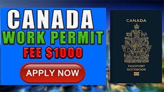 Canada Work Permit Fee  Lmia