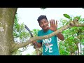 Totally Amazing Funny Video😂 Comedy Video 2022 Episode 138 By Busy Fun Ltd Mp3 Song