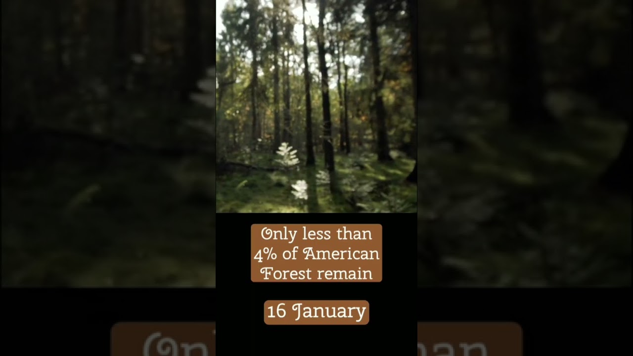 16 January 2022 | Ambient Environment Fact Month