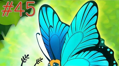 FLUTTER BUTTERFLY SANCTUARY (PART 45 : GRIZZLED SKIPPER)