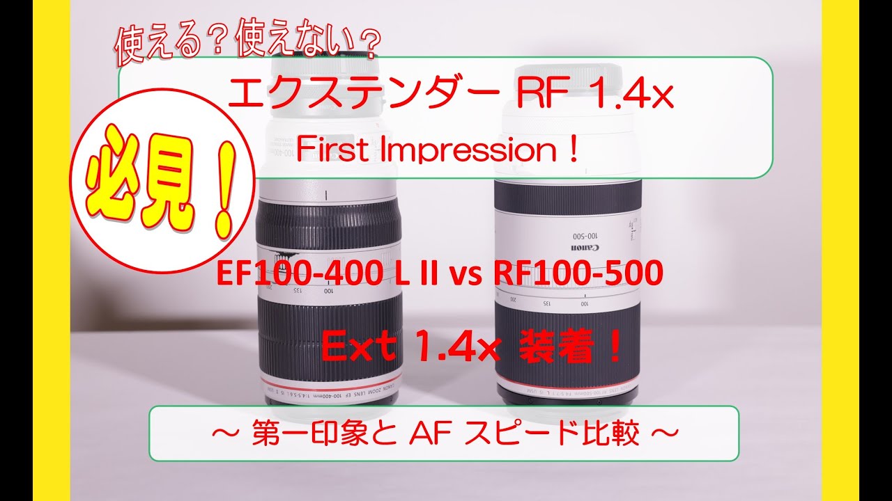 Extender RF 1.4x First Impression with RF100-500mm & EOS R5