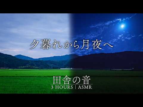 夏の田んぼ、夕暮れから満月の夜へ 3時間11分｜ヒグラシ・虫の音・カエルの声【田舎の自然音】のサムネイル