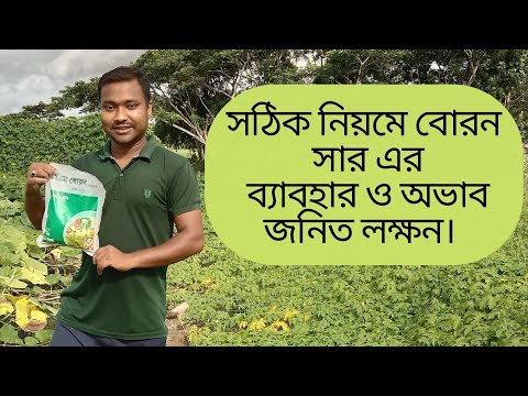 ভিডিও: বোরেন অস্থির কেন?