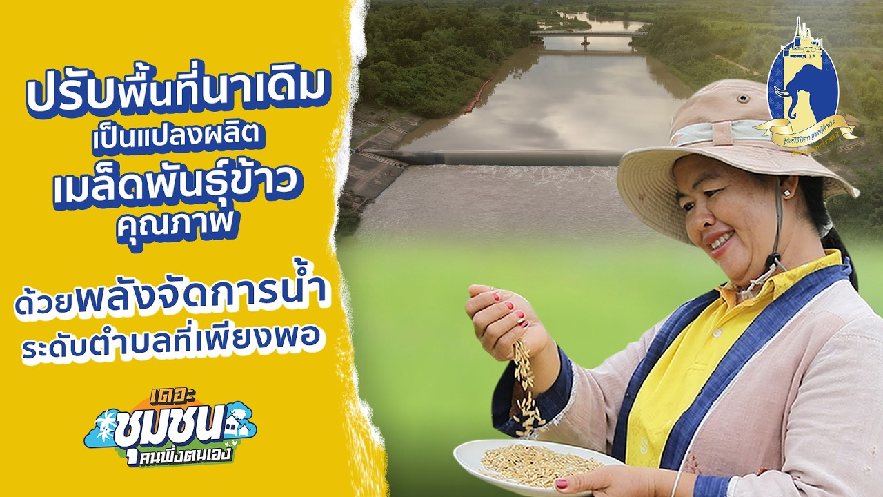 เดอะชุมชนคนพึ่งตนเอง | ปรับพื้นที่นาเดิมเป็นแปลงผลิตเมล็ดพันธุ์ข้าวคุณภาพ ด้วยพลังจัดการน้ำระดับตำบล