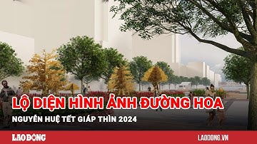 Lộ diện hình ảnh đường hoa Nguyễn Huệ Tết Giáp Thìn 2024| Báo Lao Động