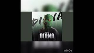 MGNG - DIANA 1 h