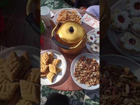 خرجت عائلية في الطبيعة