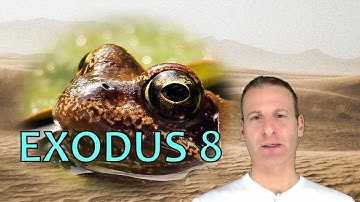 Exodus Chapter 8 Summary And What God Wants From Us