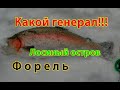 Дуплет форели в Клевом месте. Поймал "Генерала". Лосиный остров.  Trout doublet in a Cool place.