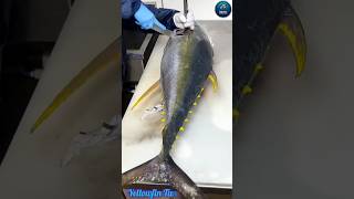 Giant Yellowfin Tuna Fish Cutting Expert #satisfying #tuna_fish_cutting #fishpreparation
