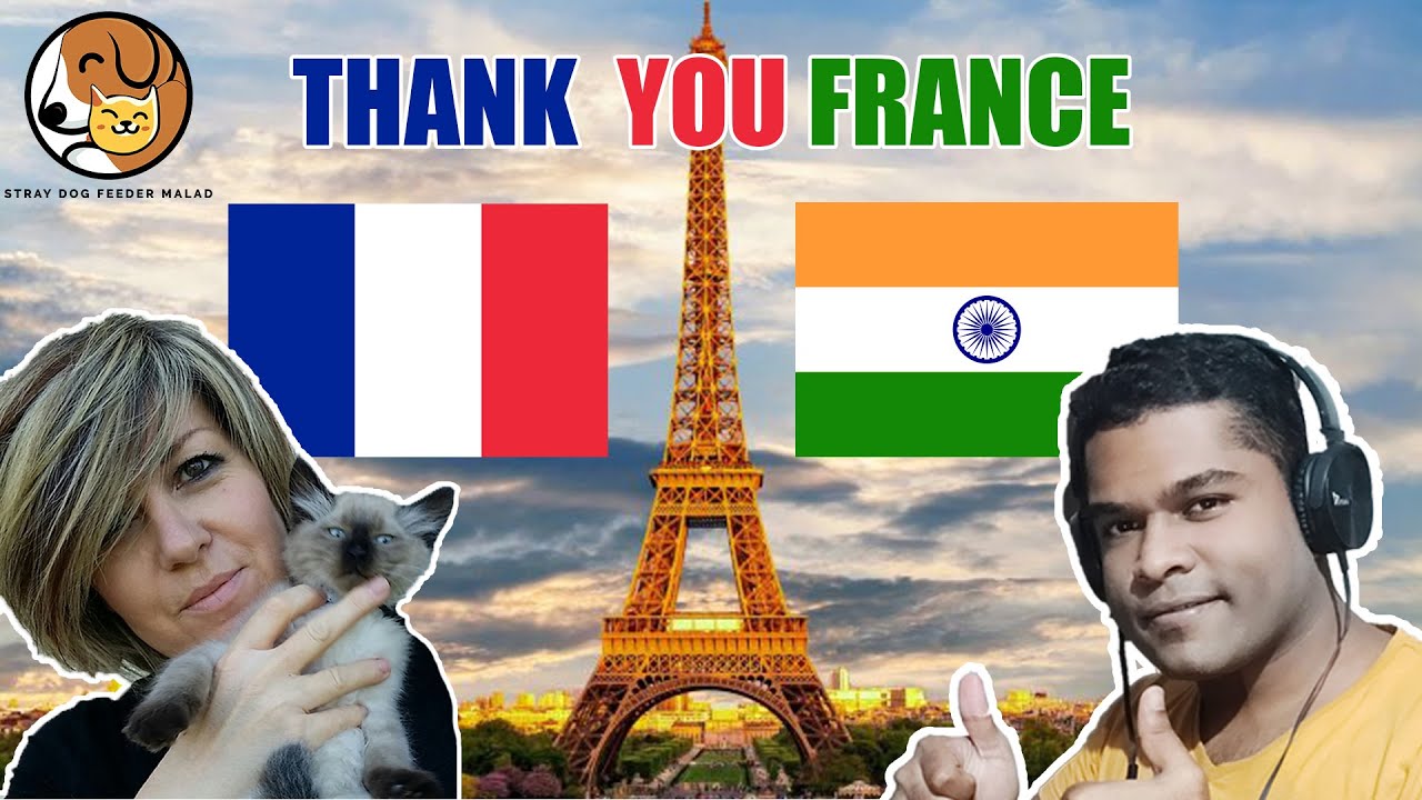 HEARTFELT MESSAGE TO FRANCE| ANIMAL LOVER #1 - YouTube