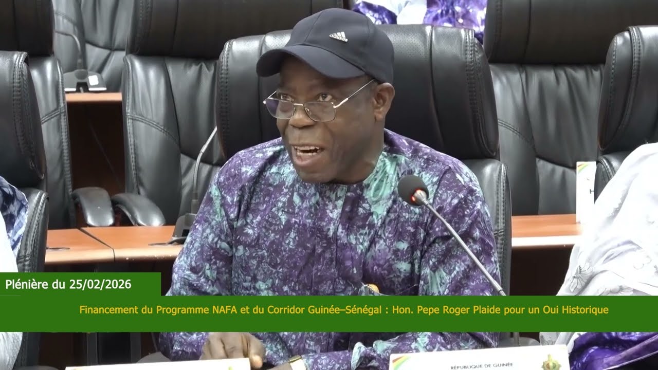 Financement du Programme NAFA et du Corridor Guinée–Sénégal Hon  Pepe Roger Plaide pour un Oui Histo