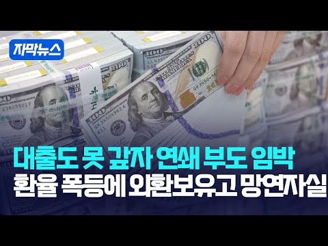환율 폭등에 <strong>외환보유고</strong> 망연자실 / 강스라이팅