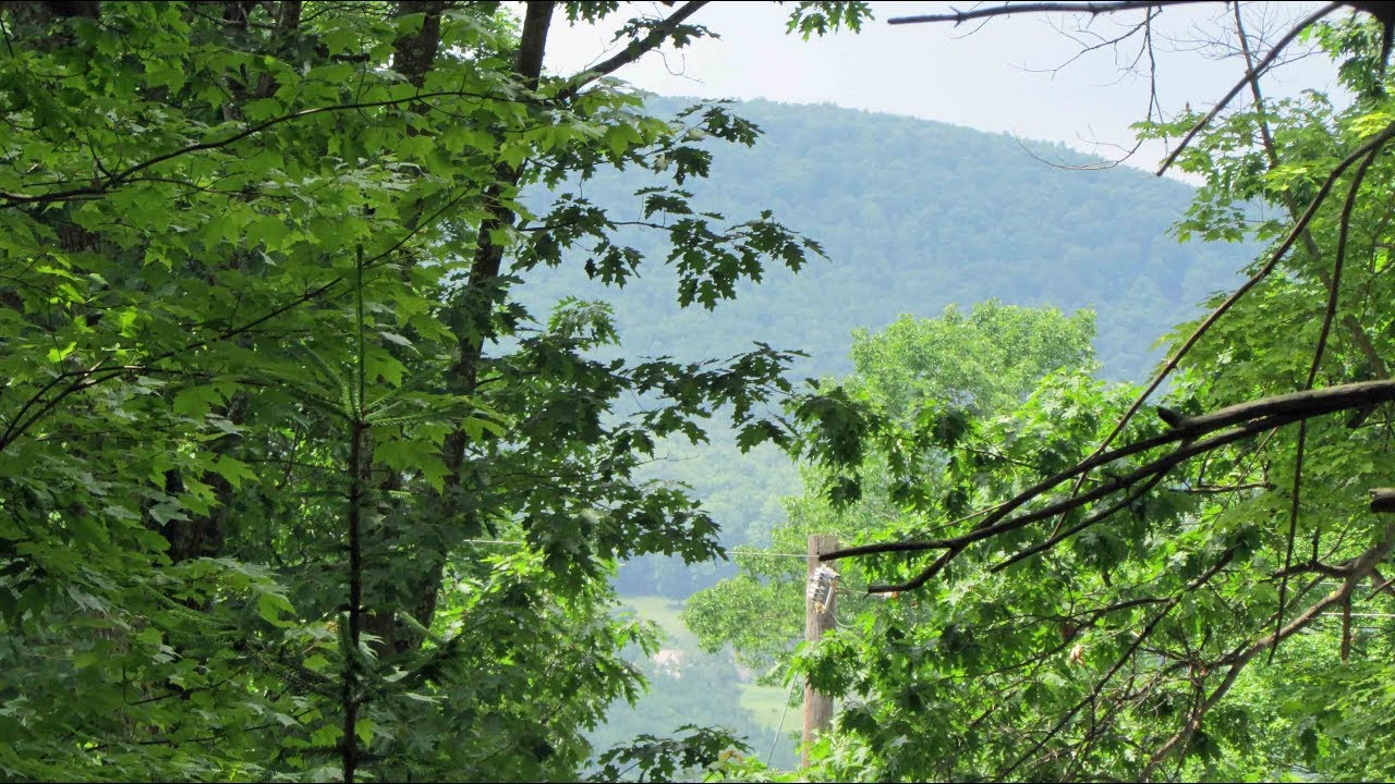 Walking Tour - 1 acre adjoining 100s acres DEC land Napanoch NY SUllivan County