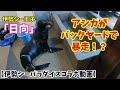 奇跡の軌跡【伊勢シーパラダイスコラボ】