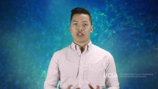 Pursuing strategies to produce fully functional blood stem cells in a lab dish | Andrew Nguyen