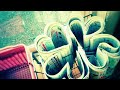 【沼る歌声が】またねがあれば / Sori Sawada  歌ってみた【りぃふ】