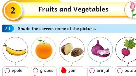 2nd std English workbook answers | 2nd English term 2 unit 2 workbook answers 