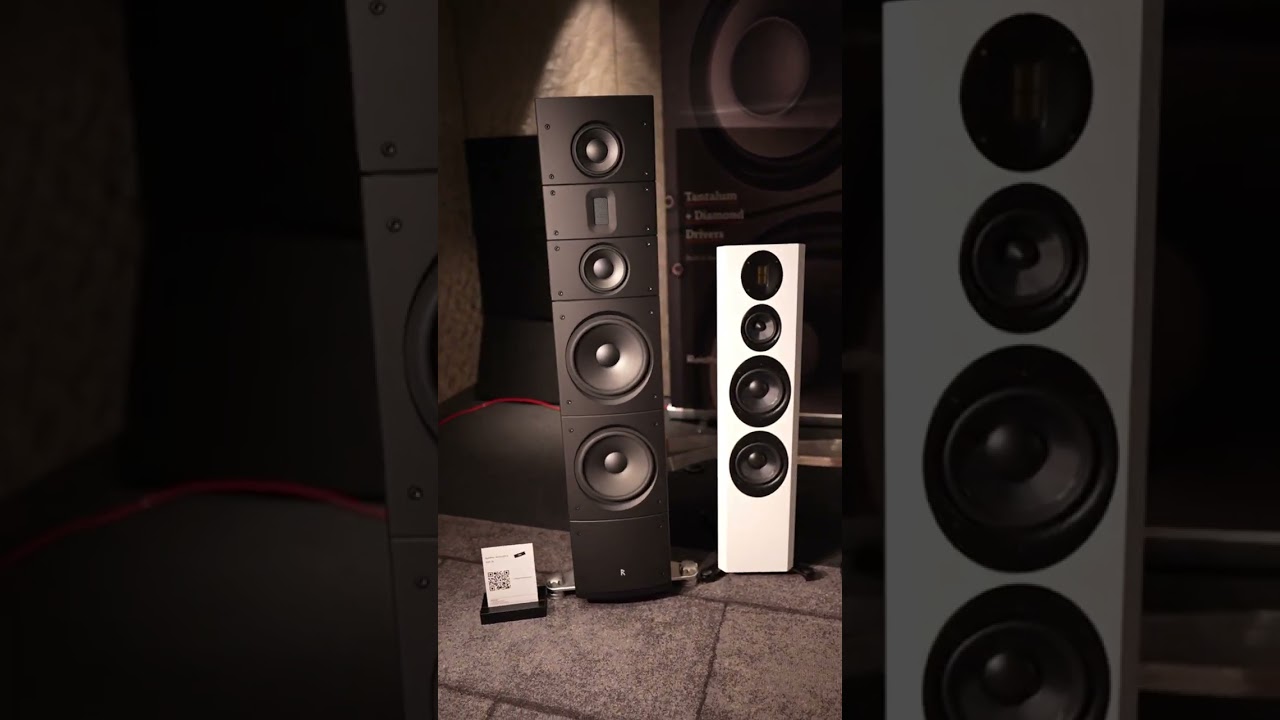 Акустические системы Raidho TD3.10 