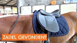 Heb ik eindelijk een passend zadel gevonden? | Vlog #20