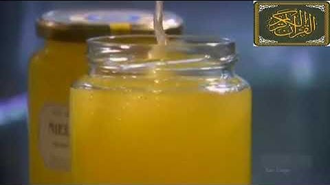 وَأَوْحَىٰ رَبُّكَ إِلَى النَّحْلِ أَنِ اتَّخِذِي مِنَ الْجِبَالِ سورة النحل الشيخ خالد الجليل