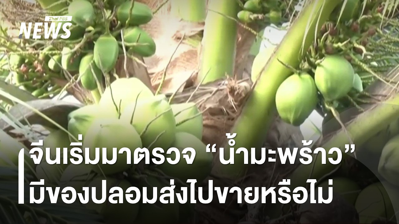 จีนเริ่มมาตรวจ 